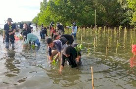Kembalikan Fungsi Mangrove, DKP Sulsel Tanam 10 Ribu Bibit di Pangkep
