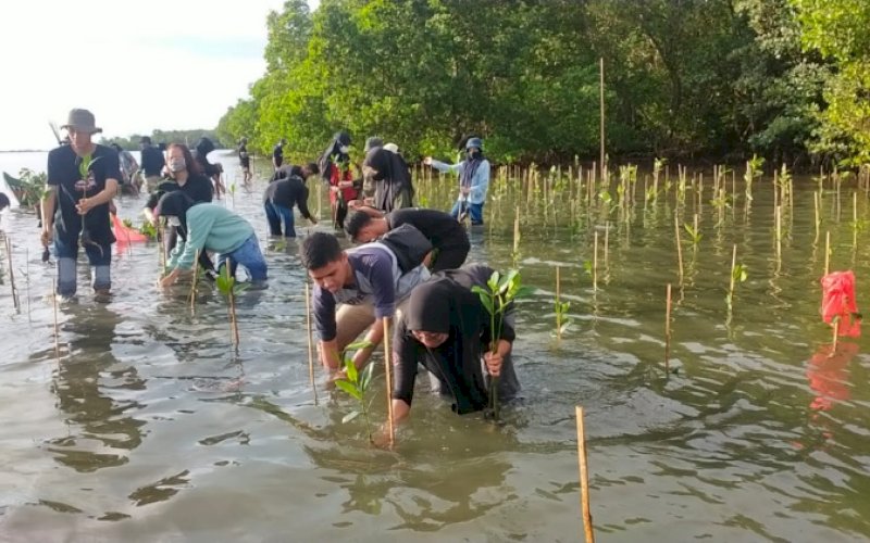 TANAM MANGROVE. Dinas Kelautan dan Perikanan (DKP) Provinsi Sulsel melalui Cabang Dinas Kelautan (CDK) Kabupaten Pangkep melaksanakan penyerahan bibit mangrove secara simbolis yamg kemudian ditanam masyarakat pesisir di Kelurahan Borimasunggu, Kecamatan Labakkang, Kabupaten Pangkep. foto: istimewa