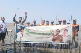DKP Sulsel Tanam 38 Ribu Bibit Mangrove di Lutim