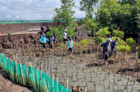 DKP Sulsel Tanam 38 Ribu Batang Mangrove di Bone
