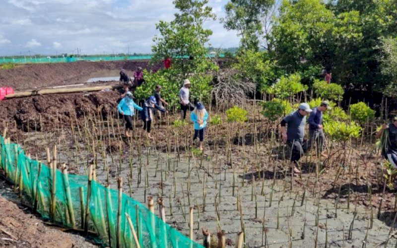 TANAM MANGROVE. Pemprov Sulsel gencar dalam menjaga dan merawat ekosistem alam, termasuk ekosistem hutan bakau. foto: istimewa