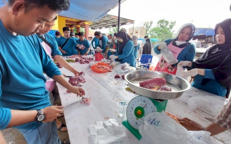 BERBAGI. PT Pelabuhan Indonesia (Persero) Regional 4 menyiapkan total 53 ekor sapi yang diserahkan kepada setiap cabang untuk disembelih dan dagingnya dibagikan kepada masyarakat yang berhak menerima kurban di Iduladha 1443 H/2022 M. foto: istimewa