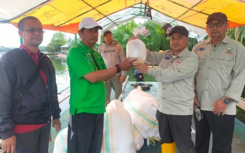 PENYALURAN. Pemprov Sulsel salurkan benur udang windu untuk kelompok pembudidaya di Kelurahan Lakkang, Kecamatan Tallo, Kota Makassar, Kamis (14/7/2022). foto: istimewa