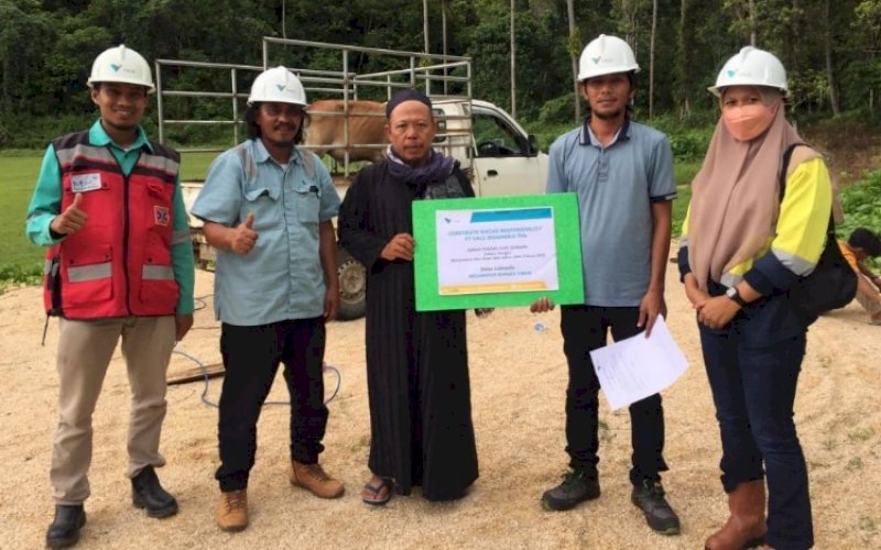 PENYERAHAN. PT Vale Indonesia Tbk menyerahkan hewan kurban berupa sapi kepada masyarakat di sekitar Blok Bahodopi, Sulawesi Tengah dan Blok Pomalaa, Sulawesi Tenggara. Penyerahan hewan kurban ini, dalam rangka menyambut Hari Raya Iduladha 1443 Hijriah/2022 Masehi. foto: istimewa
