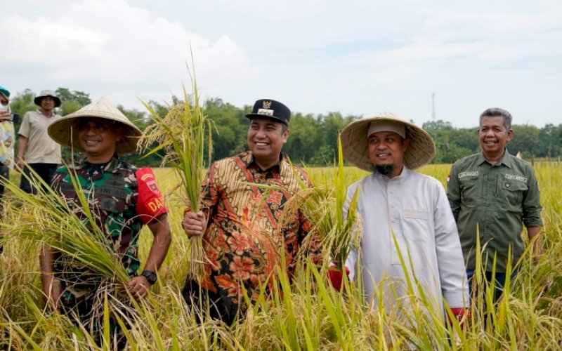 PANEN. Gubernur Sulsel Andi Sudirman Sulaiman bersama Bupati Maros Chaidir Syam.dan warga melakukan panen padi Mandiri Benih di Desa Lekopancing, Kecamatan Tanralili, Kabupaten Maros, Minggu (7/8/2022). foto: istimewa