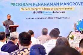 DKP Sulsel Telah Tanam 1,7 Juta Batang Mangrove