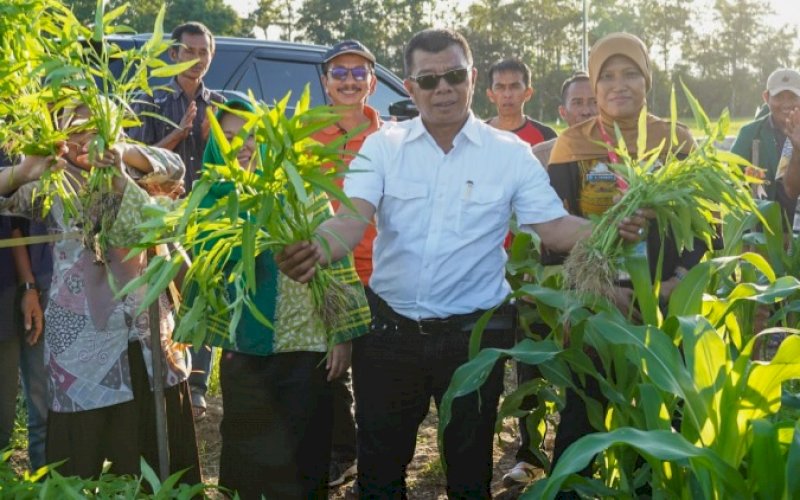 LAUNCHING. Bupati Bulukumba, Andi Muchtar Ali Yusuf, melakukan launching Si Petarung Emas di Desa Padang, Kecamatan Gantarang, Kabupaten Bulukumba, Jumat (5/8/2022). foto: istimewa