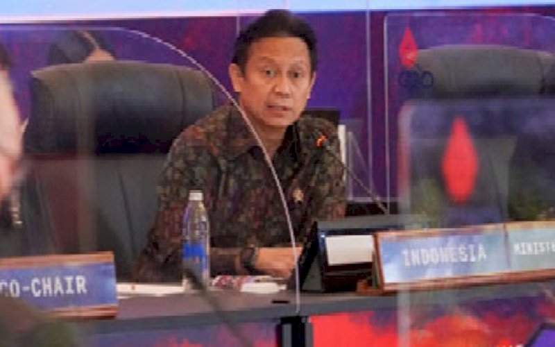 Budi Gunadi Sadikin. foto: istimewa