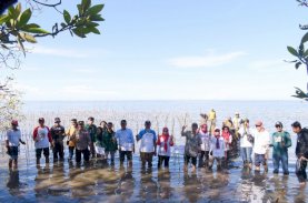 CDK Bosowasi Tanam 38 Ribu Bibit Mangrove di Bone