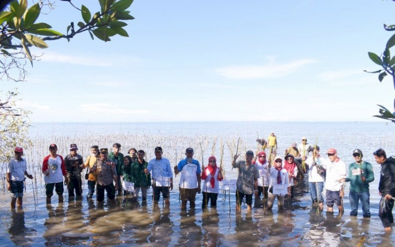 PENANAMAN. Cabang Dinas Kelautan (CDK) Bosowasi Dinas Kelautan dan Perikanan Provinsi Sulsel melaksanakan kegiatan penanaman mangrove sebanyak 38.000 bibit mangrove di Kelurahan Pancaitana, Kecamatan Salomekko, Kabupaten Bone, Kamis (11/8/2022). foto: istimewa