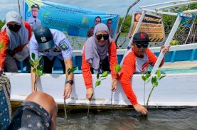 DKP Sulsel Rehabilitasi Ekosistem 2 Pulau Kecil di Takalar