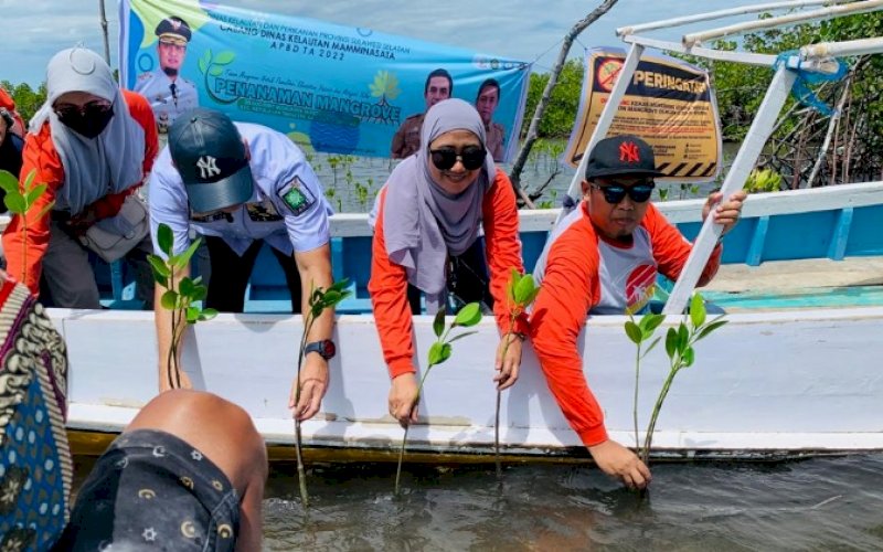 TANAM MANGROVE. Pemprov Sulsel melalui Dinas Kelautan dan Perikanan (DKP) Sulsel dilaksanakan Cabang Dinas Kelautan (CDK) Mamminasata melakukan penanaman pohon mangrove di Kabupaten Takalar. foto: istimewa