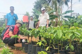 Pemkab Bulukumba Gagas Pendidikan Back to Nature di Sekolah