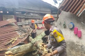 SAR Brimob Bone Evakuasi Pohon Tumbang yang Timpa Rumah Warga