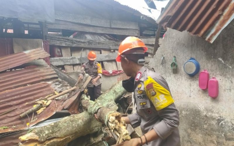 EVAKUASI. Tim SAR Batalyon C Pelopor Satbrimob Polda Sulsel mengevakuasi pohon tumbang yang menimpa rumah warga di Kota Watampone, Kabupaten Bone, Kamis (29/9/2022). foto: istimewa