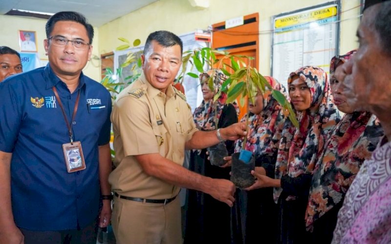 PENYERAHAN BIBIT. Bupati Bulukumba Andi Muchtar Ali Yusuf didampingi Pimpinan Cabang BRI Bulukumba Suryadi saat penyerahan bibit unggul di Aula Kantor Desa Bontoharu, Senin (10/10/2022). foto: istimewa