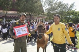 Gubernur Sulsel Serahkan Hadiah Kuda Anti Mager Jeneponto Diraih Satpol PP