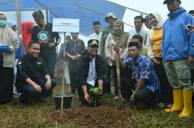 Gubernur Sulsel Tanam Bibit Kopi Bareng Warga Gowa di Topidi