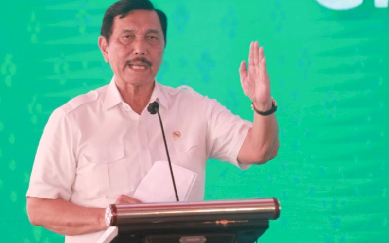 Luhut Binsar Pandjaitan. foto: istimewa