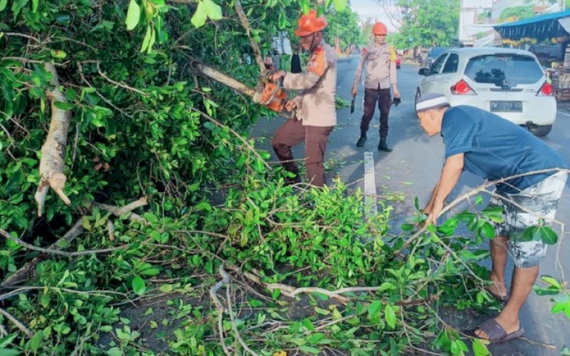 EVALUASI. Tim SAR Batalyon C Pelopor Satbrimob Polda Sulsel langsung terjun ke lokasi pohon tumbang yang terletak di Jl Yos Sudarso, Kabupaten Bone, Jumat (16/12/2022). foto: istimewa