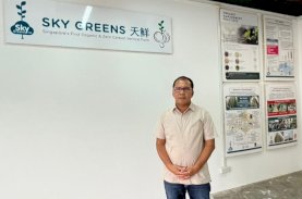 Danny Pomanto Siapkan Konsep City Farming Sky Greens Singapura untuk Lorong Wisata