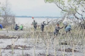 DKP Sulsel Bersama Masyarakat Pelestari Lingkungan Tanam 40 Ribu Batang Mangrove di Pesisir Wajo
