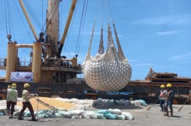 6.150 Ton Jagung Sulsel Diekspor ke Filipina Senilai Rp30,43 Miliar 