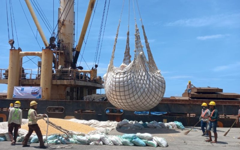 EKSPOR. Sebanyak 6.150 ton jagung asal Sulsel dilepas untuk diekspor menuju Filipina di Pelabuhan Laut Soekarno Hatta Makassar, Rabu (11/1/2023). foto: istimewa