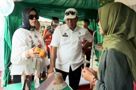 Pameran UMKM Meriahkan Hari Jadi Bulukumba Ke-63&nbsp;