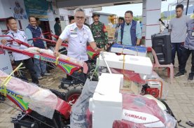 Vale Dukung Sektor Unggulan Kelautan dan Pertanian di Kawasan Pesisir Malili