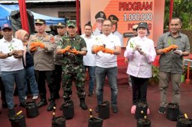 Indira Hadiri Program Satu Juta Polybag Gerakan Terus Menanam Dukung Pemkot Makassar Tekan Inflasi