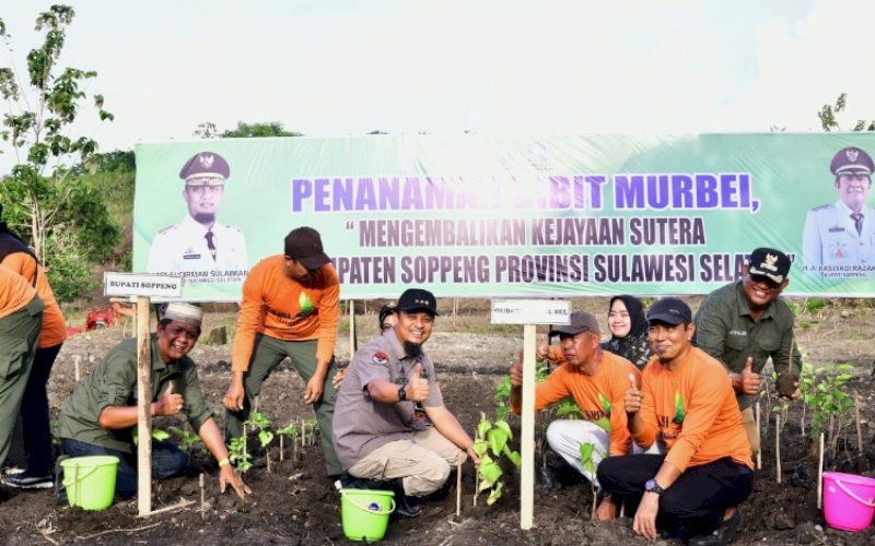 PENANAMAN. Gubernur Sulsel, Andi Sudirman Sulaiman, secara simbolis melakukan penanaman perdana 1,5 juta bibit murbei di Dusun Medde, Desa Patampanua, Kabupaten Soppeng, Senin (20/3/2023). foto: istimewa