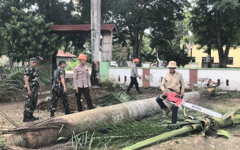 MENEBANG POHON. Personel Batalyon C Pelopor bersama personel Koramil Barebbo, personel Polsek Barebbo, dan pegawai Kecamatan Barebbo kompak menebang pohon palem di Kantor Camat Barebbo, Kabupaten Bone, Senin (13/3/2023). foto: istimewa