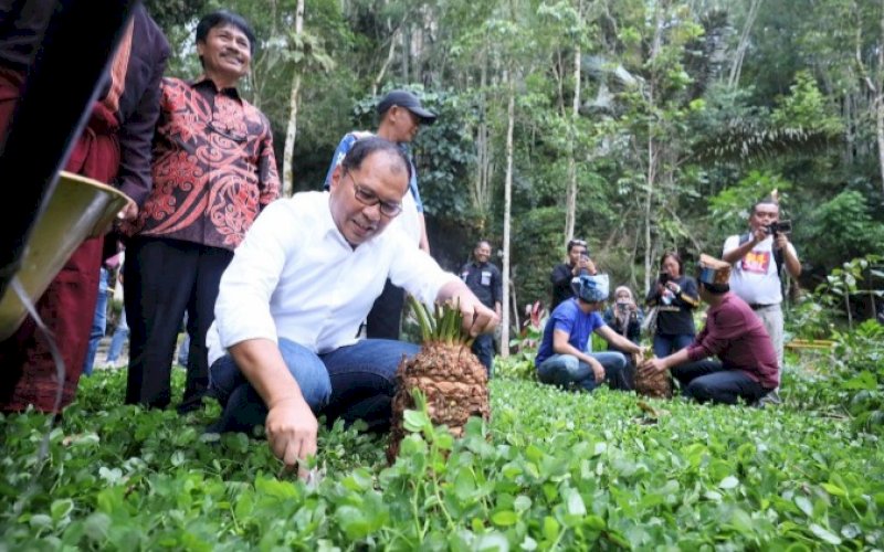 MENANAM. Wali Kota Makassar, Moh Ramdhan Pomanto, bersama para tokoh masyarakat melakukan penanaman sikas di Taman Wisata Sa&rsquo;pak Bayo-bayo, Sangalla&rsquo;, Tana Toraja, Rabu (15/3/2023). foto: istimewa