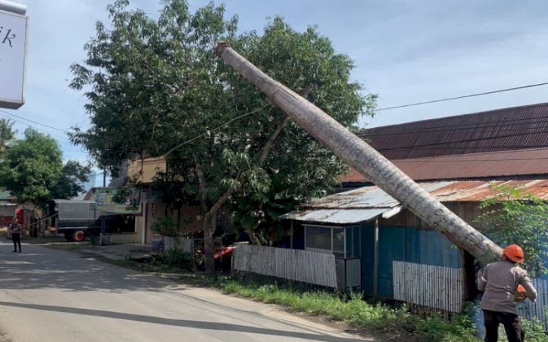 EVAKUASI. Tim SAR Batalyon C Pelopor Satbrimob Polda Sulsel melakukan evakuasi pohon di Jl HOS Cokroaminoto, Watampone, Kabupaten Bone, Minggu (2/4/2023). foto: istimewa