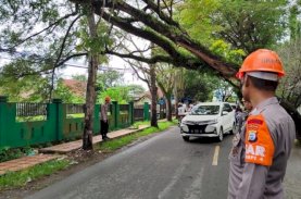 Bahayakan Pengguna Jalan, SAR Brimob&nbsp;Bone Evakuasi Pohon Tumbang