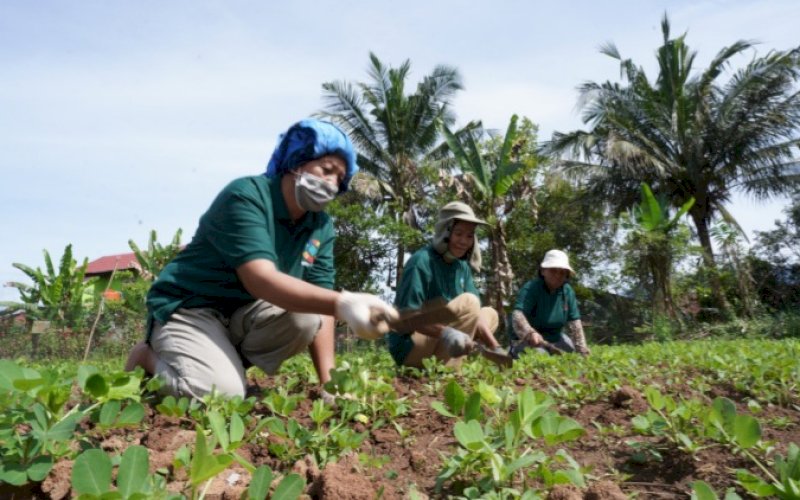 KOMITMEN VALE. PT Vale Indonesia Tbk memiliki kepedulian dan komitmen terhadap Keberlanjutan termasuk aspek Environmental (Lingkungan), Social (Sosial), dan Governance (Tata Kelola Perusahaan), seperti terlihat dalam laporan keberlanjutan atau Sustainability Report 2022. foto: istimewa