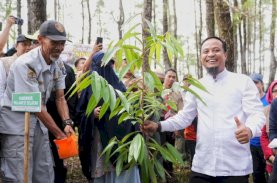 Gubernur Sulsel Canangkan Gerakan Siswa Andalan Menanam 1 Juta Pohon