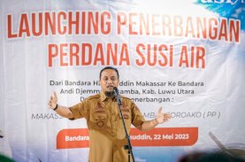 Pemprov Sulsel Subsidi Penerbangan Rp20 Miliar, Berikut Sepuluh Rute dan Harganya