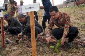 Wajo kembali Produksi Kokon Setelah 20 Tahun, Bupati: Terima Kasih Pak Gubernur