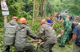 SAR Brimob Bone Evakuasi Pohon Tumbang Tutupi Jalan di Usa