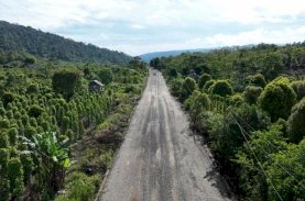 Pemprov Sulsel Tangani Rekonstruksi Ruas Jalan Ussu-Nuha-Beteleme