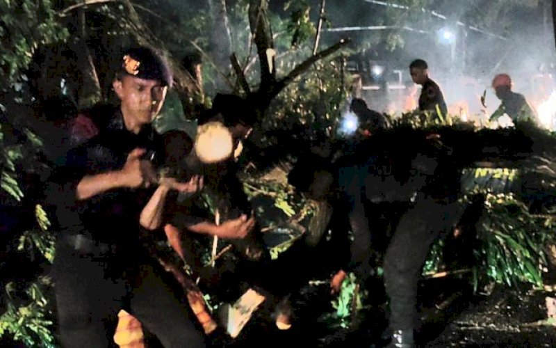 EVAKUASI. Tim SAR Batalyon C Pelopor Satbrimob Polda Sulsel turun langsung melakukan evakuasi pohon tumbang di tengah Jalan Yos Sudarso (Poros Bone Bajoe), Senin (8/5/2023). foto: istimewa