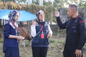 Dinas Peternakan Jamin Kesehatan Hewan Kurban Brimob Bone