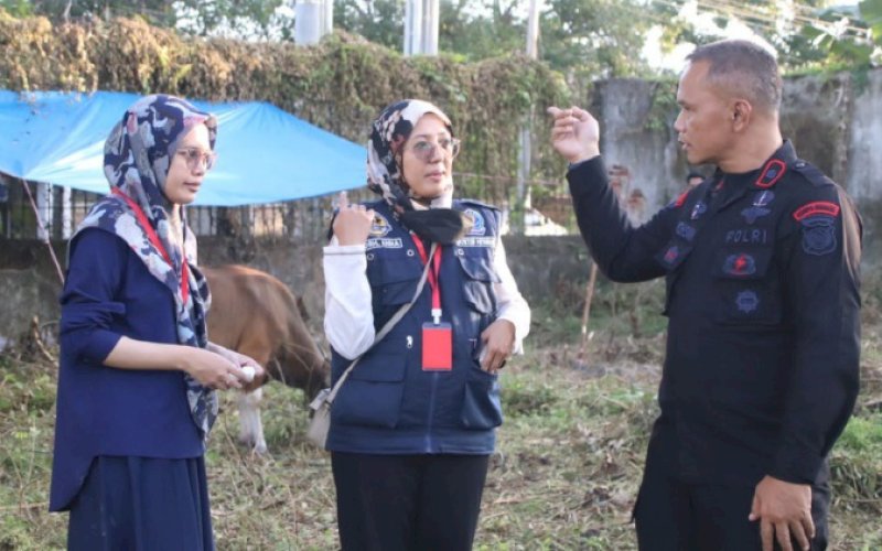 PEMERIKSAAN. Danyon C Pelopor, Kompol Nur Ichsan, mendampingi petugas dari Dinas Peternakan Kabupaten Bone melakukan pemeriksaan hewan kurban di Mako Batalyon C Pelopor, Rabu (28/6/2023). foto: istimewa