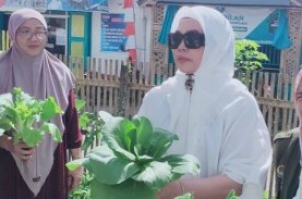 Ketua PKK Bulukumba Kunjungi Rumah Gizi Polewali