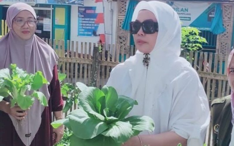 Andi Herfida Muchtar. foto: istimewa