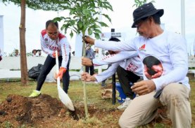 Danny Pomanto-Bima Arya dan Wali Kota Se-Indonesia Tanam Pohon di Hutan Kota CPI Makassar