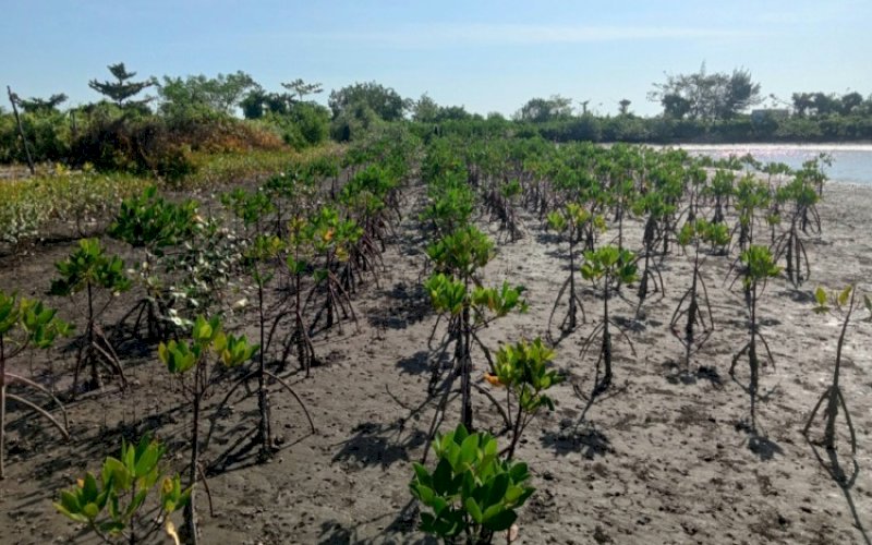 Ilustrasi. foto: istimewa