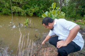 Gubernur Sulsel Sharing Terkait Corbon Trading di Kepri